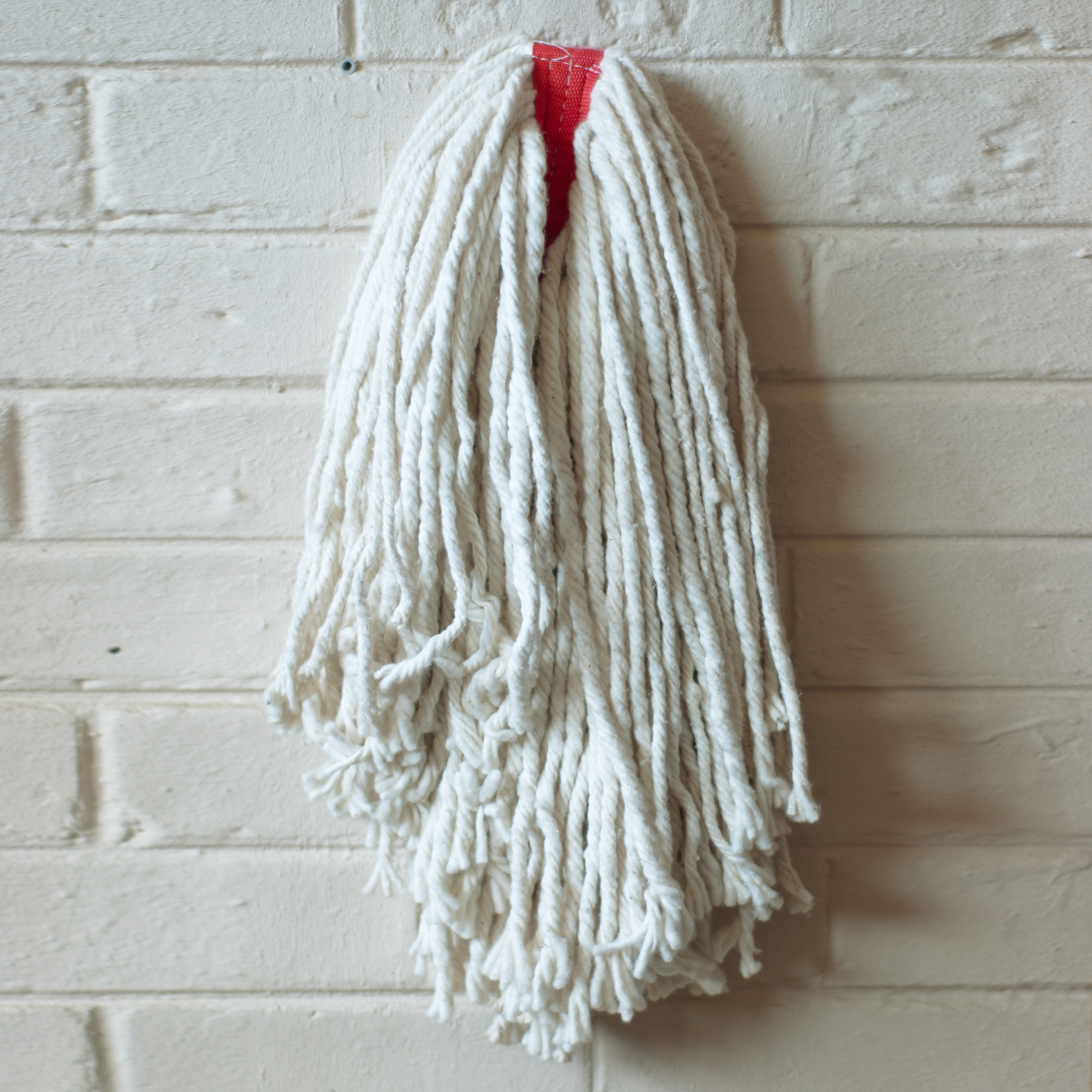 Mop head